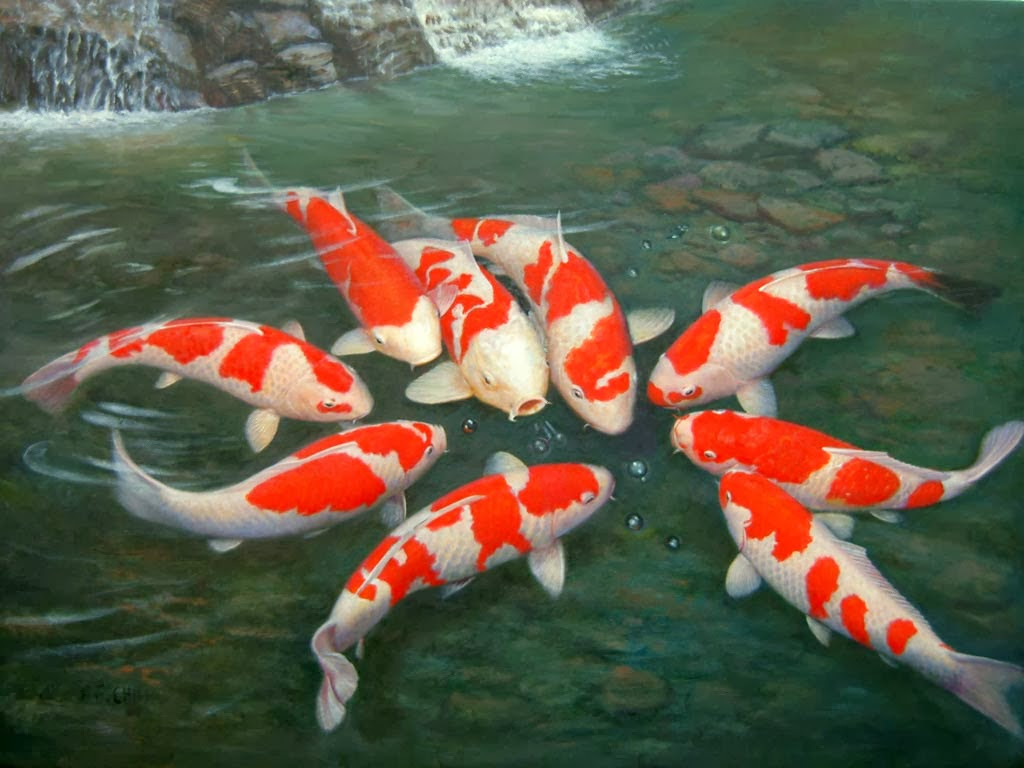 Gambar Wallpaper 3d Ikan Koi Gambar DP BBM