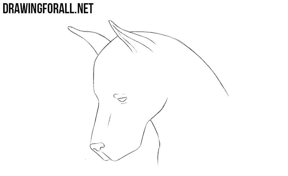The point of this step is to understand how the muscles sit under the skin. How To Draw A Dog Head