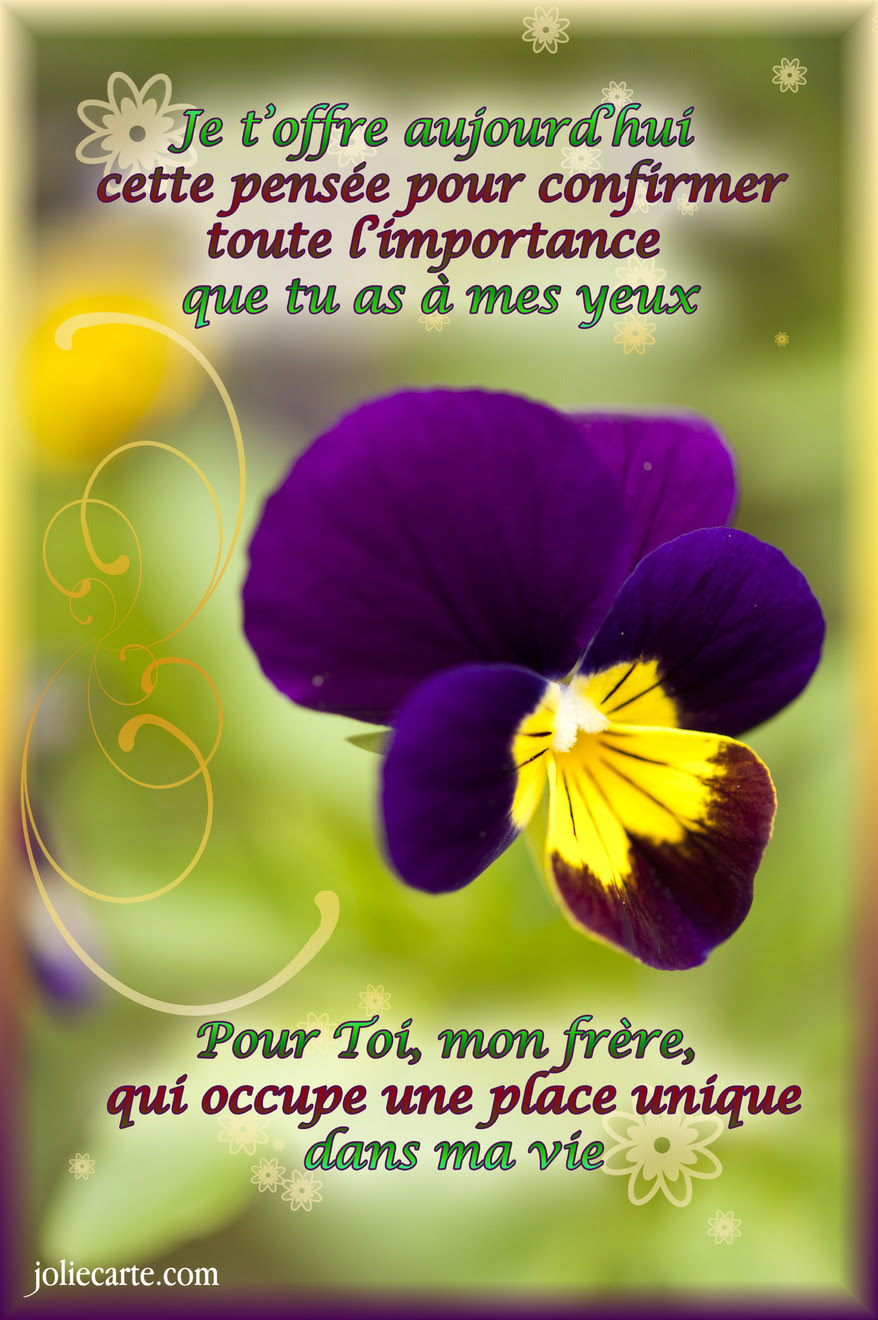 Souhaiter Joyeux Anniversaire A Mon Frere Aleisha
