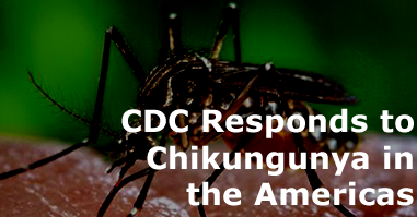 CDC Responds to Chikungunya in the Americas