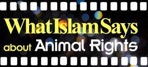 Is cryptocurrency halal shia / haram png images klipartz / i read quite a bit about this new wave of future a muslim investor would say it's halal and for others it's haram, those who don't believe in it. Bitcoin From The Perspective Of The Shiite Clerics Fatwas Ijtihad Network
