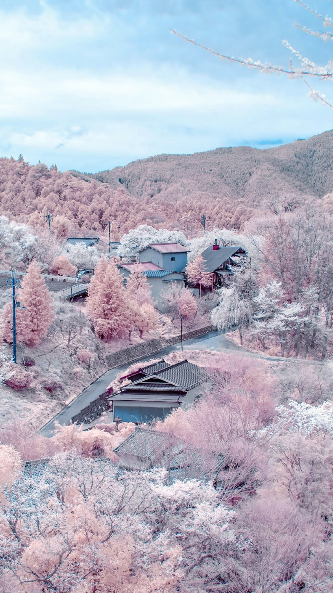 ディズニー画像ランド これまでで最高の桜 壁紙 高画質 Iphone