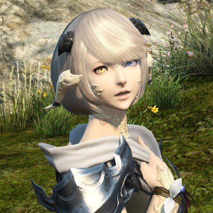 イラスト集 綺麗なアウラ Ff14 かわいい