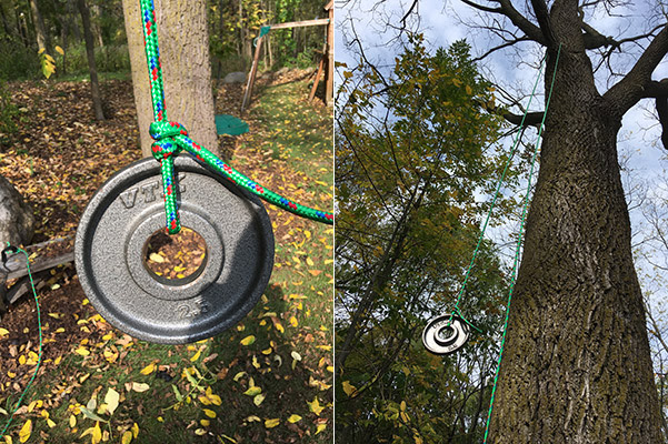 We've got some really great trees that limb was probably 10 feet long, and definitely weighted enough that if it had landed on a we had to use an aborist company to cut the palms down as they were too big for our normal. Cutting Down 30 Foot High Tree Branches Without Climbing