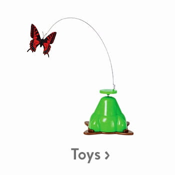 Shop Toys