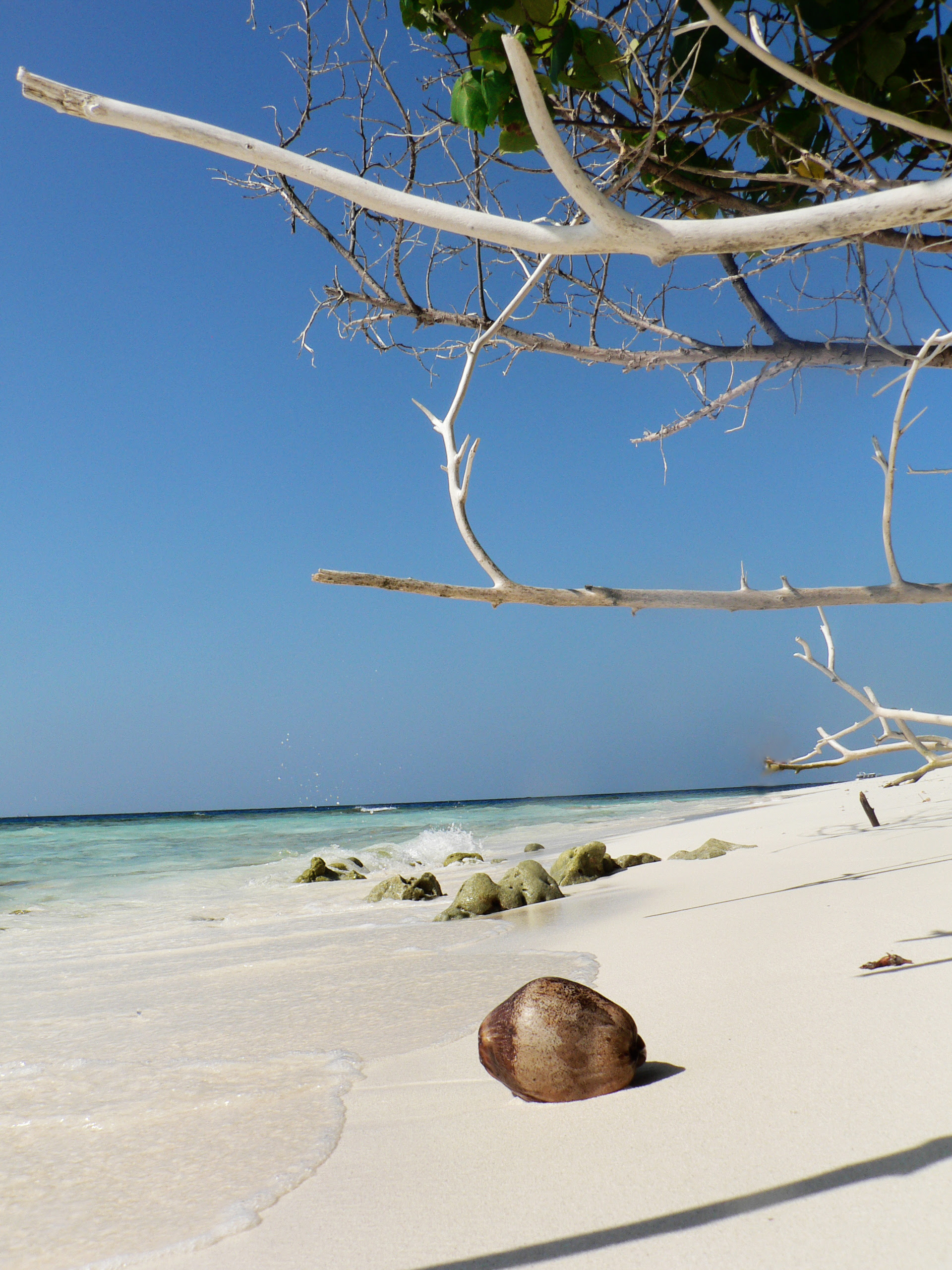 Warum für eine insel entscheiden, wenn sie mehrere während ihres traumurlaubs sehen können?! Abc Inseln Urlaub In Aruba Bonaire Und Curacao