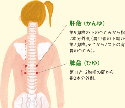 腎臓 肝臓 背中の痛み Gokcek Chamkanni