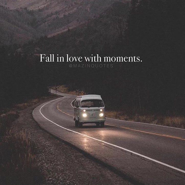 We did not find results for: Fall In Love With Moments Pictures Photos And Images For Facebook Tumblr Pinterest And Twitter
