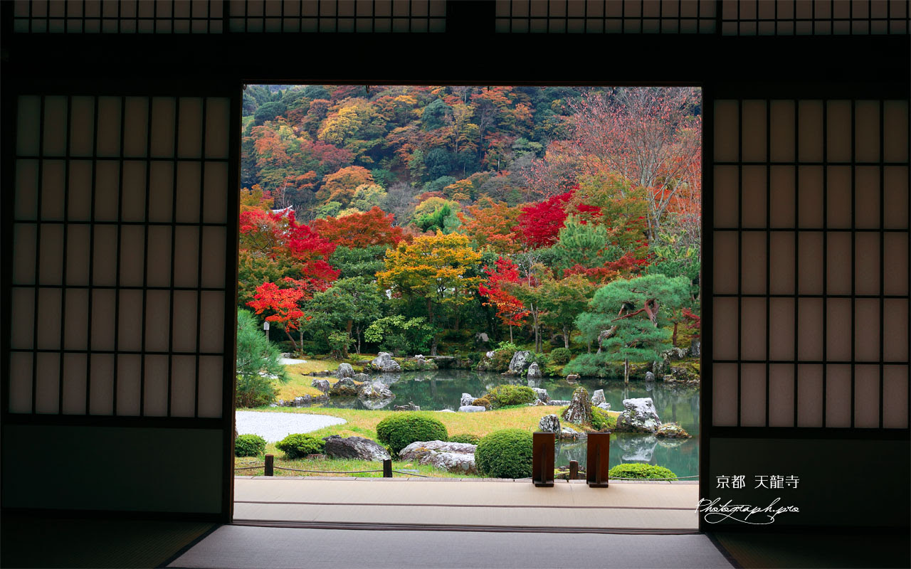 50 日本 庭園 壁紙 Jpbestwallpaper