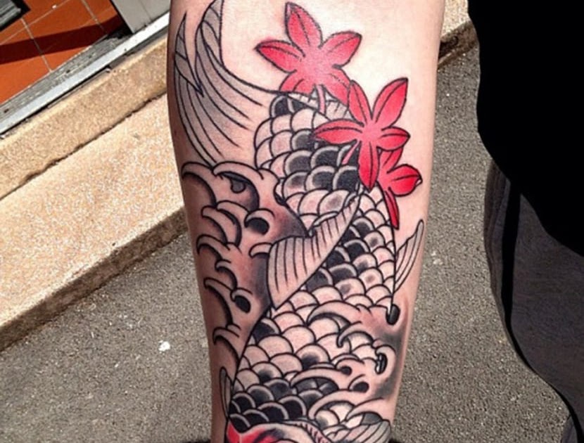 Imagenes De Pez Koi Con Flor De Loto - Compartir Flores