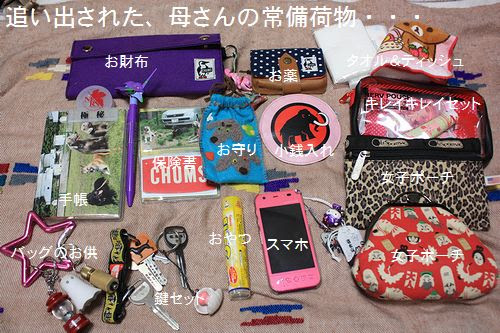 無料ディズニー画像 最高のディズニー カバン の 中身 冬