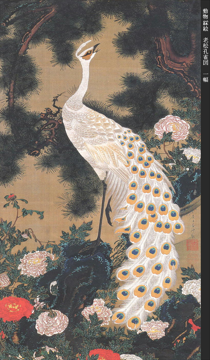 ぜいたく壁紙 高 画質 伊藤 若冲 最高の花の画像