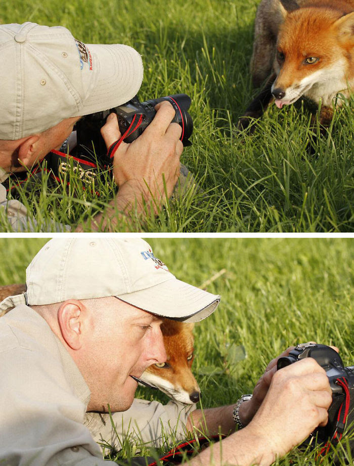 Nature                                                          Photographer