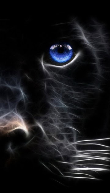 Wallpaper Keren Lucu: Wallpaper Keren C6