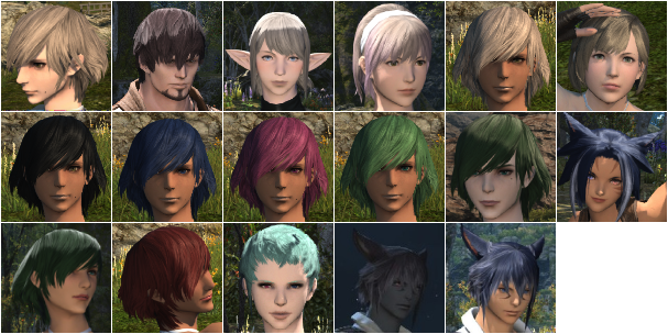 ユニーク Ff14 キャラメイク ミッドランダー 男 スンゾガメツ