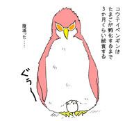 無料イラスト画像 最新かわいい イラスト ワンピース ロー