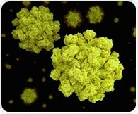 Research suggests asymptomatic infection as source of norovirus outbreaks in Indonesia