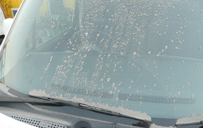 [最も人気のある！] 車 フロントガラス 汚れ防止 321230-車 フロントガラス 汚れ防止