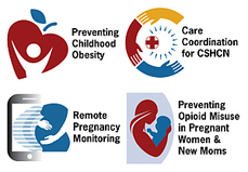 MCHB Obesity Challenge