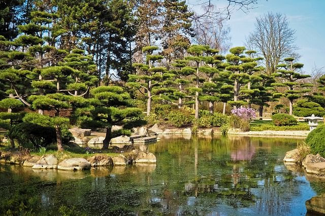 Ein japanischer garten steht für ruhe, entspannung und akzentuierte schönheit. Teich Im Japanischen Garten Anlegen Teichplanung Wasser Als Stilmittel