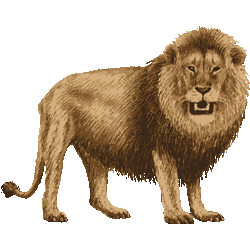 壮大 ライオン イラスト リアル イラストトップ画像