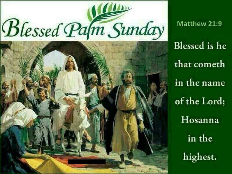 Palm sunday quotes from the bible tells lot of amazing things about this day. Blessed Palm Sunday Quote With Bible Verse Pictures Photos And Images For Facebook Tumblr Pinterest And Twitter