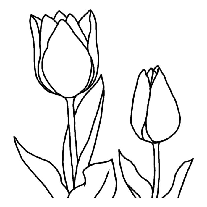 Japan Image 花 イラスト 無料 白黒