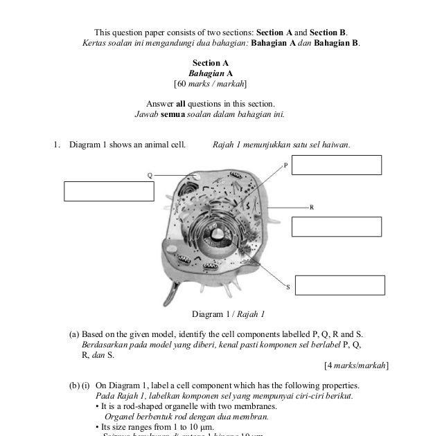 Contoh Soalan Biologi Kertas 2 Tingkatan 4 Akhir Tahun 