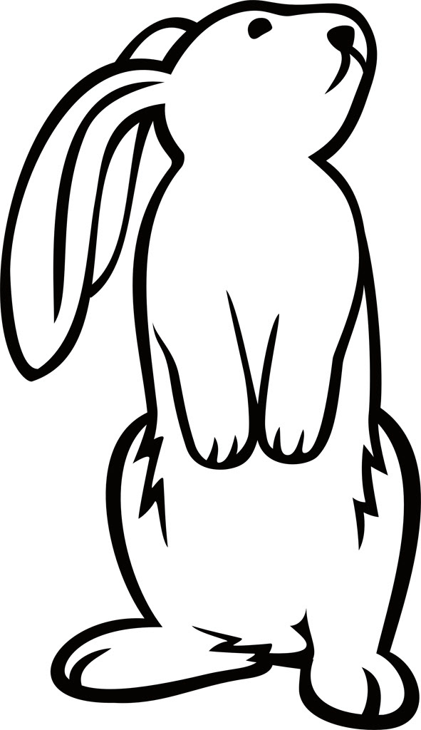 あなたのためのイラスト 最高のかっこいい 兎 イラスト