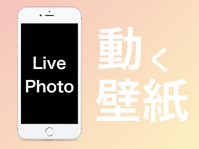 すべての美しい花の画像 待ち受け 面白い 壁紙 Iphone8