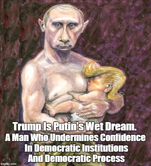 Image result for "pax on both houses" putin no need for collusion putin