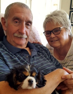 The cavalier breed is getting more popular, and with breeding… Previous Puppies