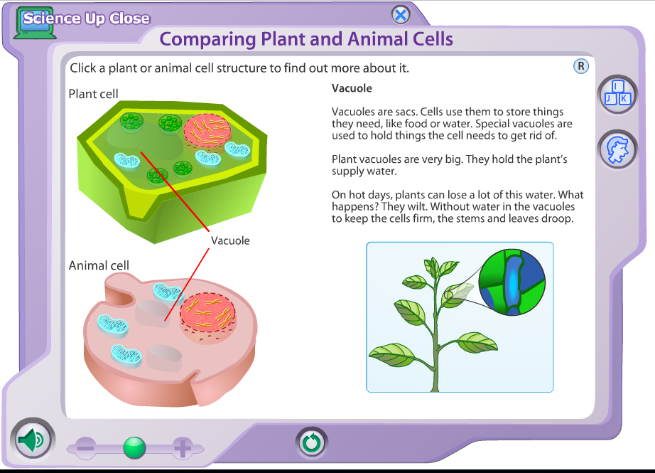 Maybe you would like to learn more about one of these? Cells And Ecology