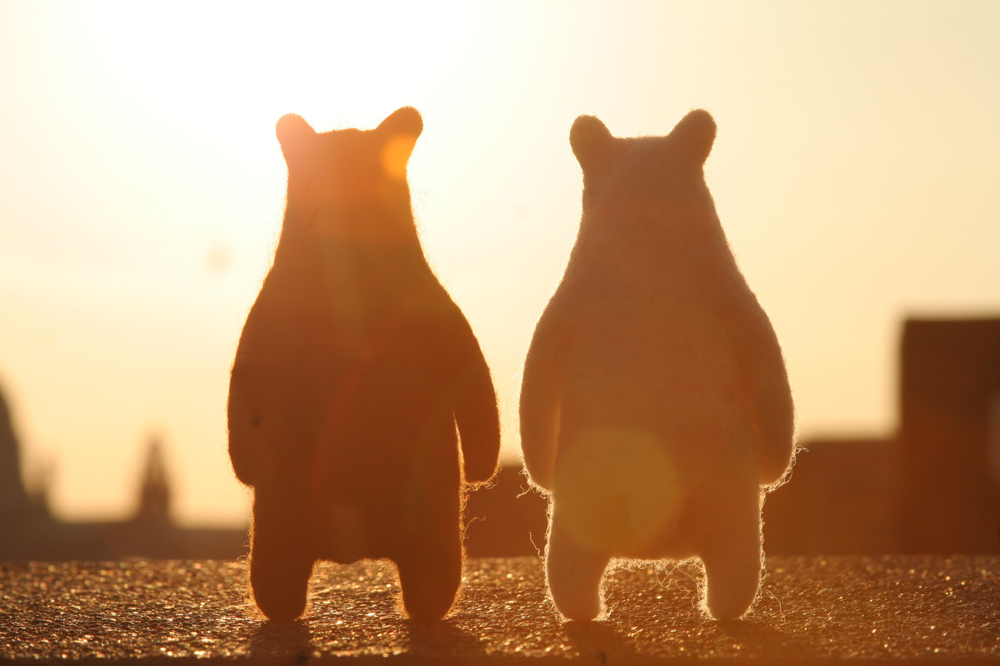 動物の画像について ユニーク夕日 イラスト フリー