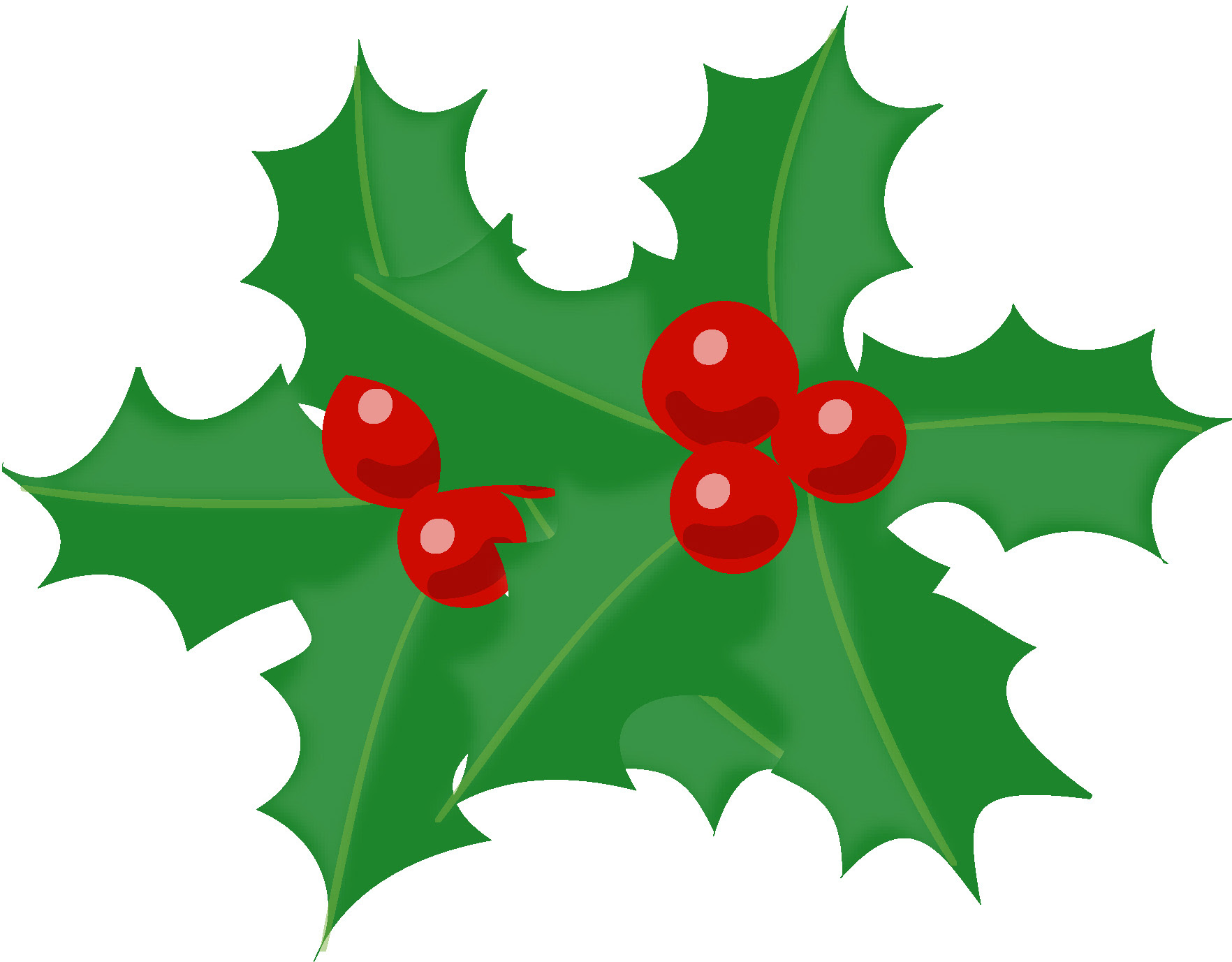 綺麗なひいらぎ クリスマス 花 イラスト ディズニー画像
