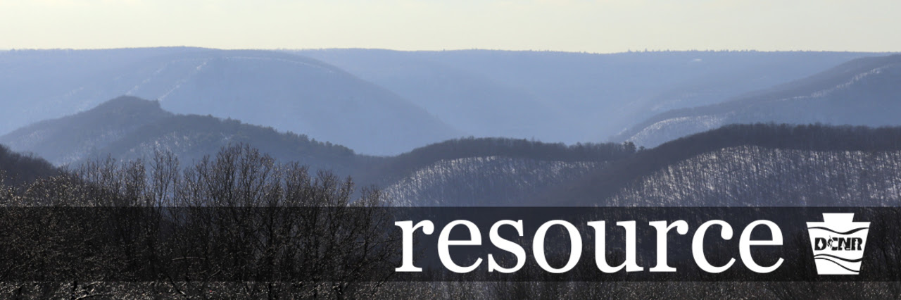 Nature, outdoors, trees, forest, view, mountains. DCNR Logo. Text: resource