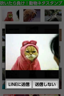 Kasword 猫 おもしろ 画像 吹い たら 負け