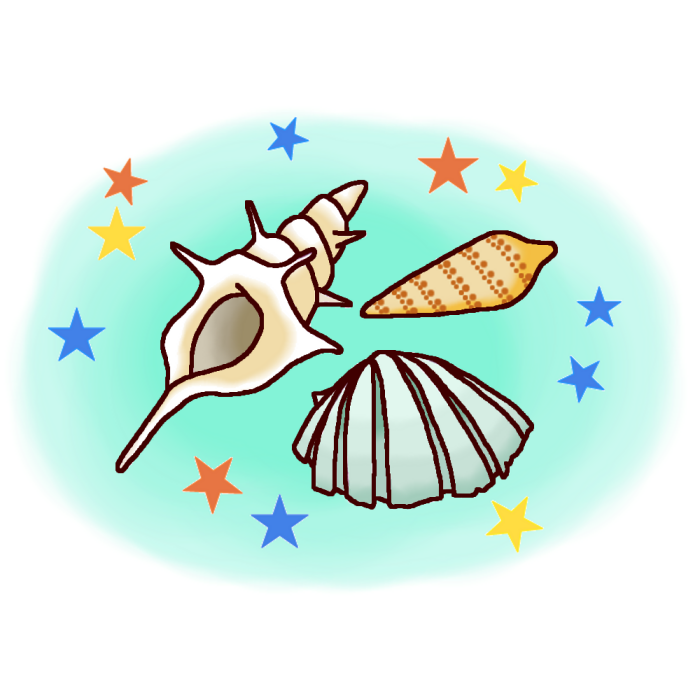 年のベスト 貝 イラスト 無料 興味深い画像の多様性
