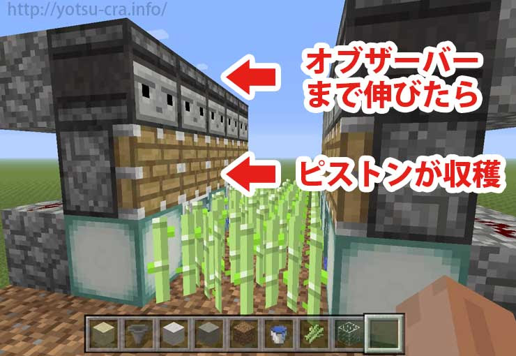 最高のマインクラフト ユニークマインクラフト サトウキビ 自動 Java