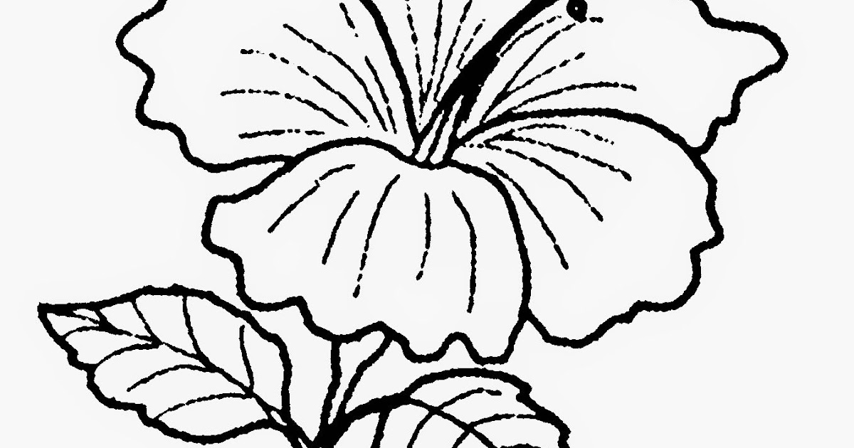 35 Terbaik Untuk Gambar Bunga  Raya  Kartun Hitam  Putih  