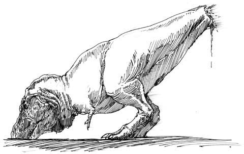 前のめり イラスト 正面 2222