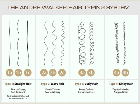 Similar to pores in the skin, hair follicles are the holes from which your hair grows. Curl Pattern