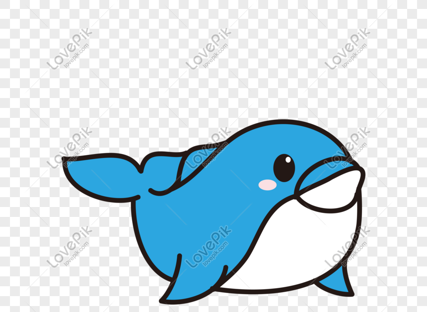 Gambar Ikan Hiu Kartun Png Gambar Ikan HD