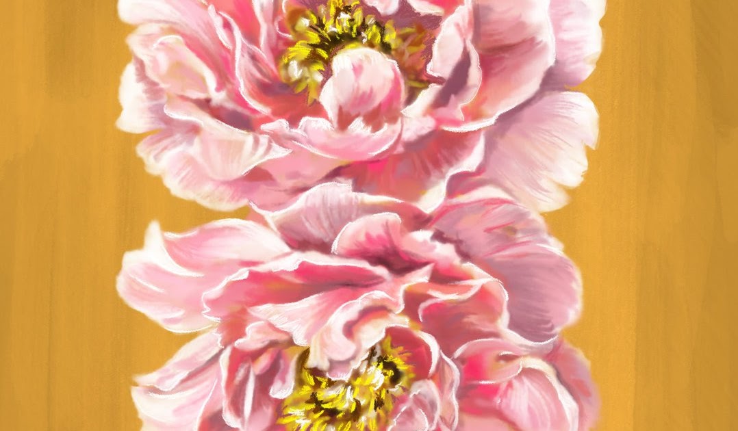 選択した画像 芍薬 イラスト 芍薬 イラスト 書き方 Buzzjpgazo