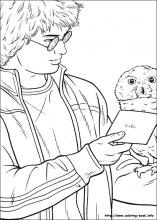 Download Harry Potter Coloring Pages On Coloring Book Info