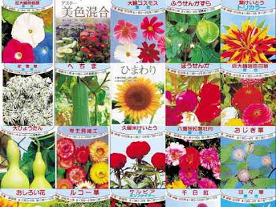 選択した画像 春 種まき 花 おすすめ 286228-春 種まき 花 おすすめ