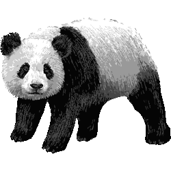 ユニークかっこいい リアル パンダ イラスト 動物ゾーン
