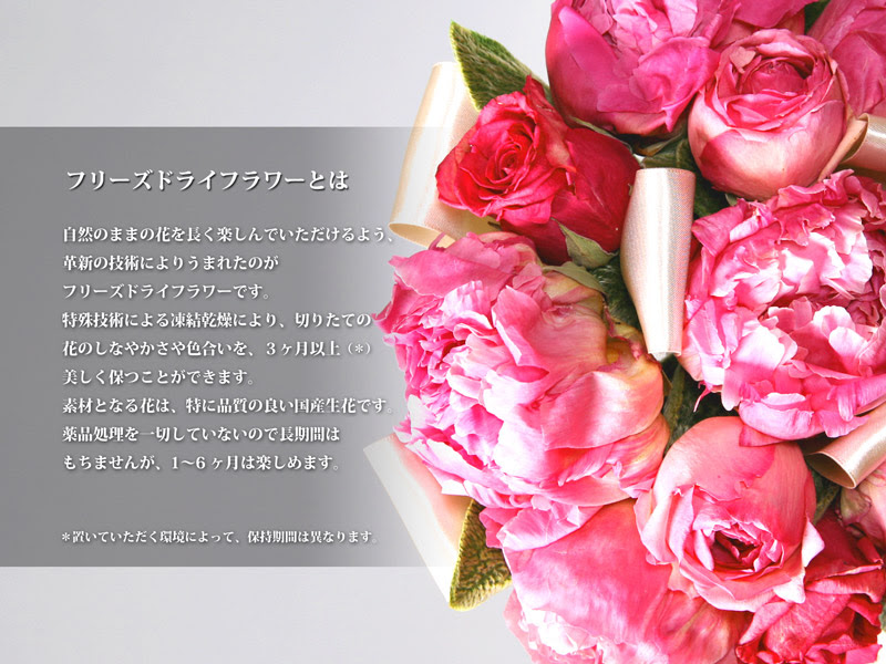 美しい花の画像 最高かつ最も包括的なフリーズ ドライ 花