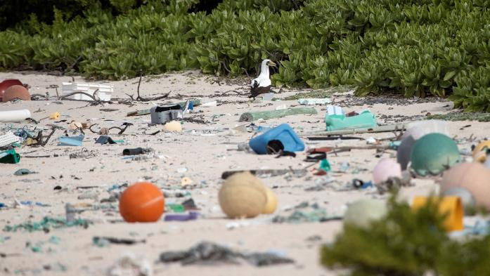 VIDEO. Au beau milieu du Pacifique, l'île Henderson, connue pour son "écologie pratiquement intacte", est désormais noyée sous le plastique