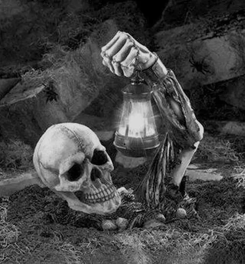 Pin by Frank Grellert on skull & skeleton | Pinterest | Skull, Grim reaper and Skeleton